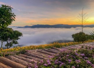 Lưu lại ngay 6 tọa độ săn mây cực chill khi đi tour du lịch Đà Lạt Lưu lại ngay 6 tọa độ săn mây cực chill khi đi tour du lịch Đà Lạt