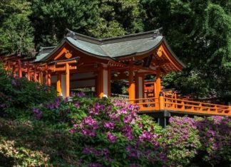 Vẻ đẹp của đền Nezu – “viên ngọc quý” nằm giữa lòng Tokyo Nhật Bản Vẻ đẹp của đền Nezu - “viên ngọc quý